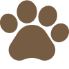 Animaux